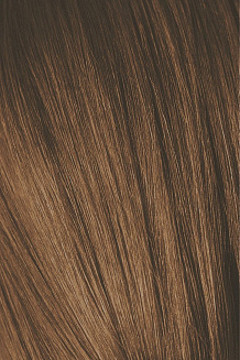 Краска для волос Schwarzkopf Igora Absolutes 6-60 Темный русый шоколадный натуральный 60 мл