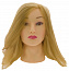 Голова учебная 40/45 см.блондин