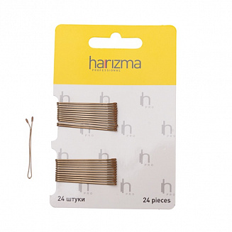 Невидимки 40 мм прямые 24 шт коричневые Harizma