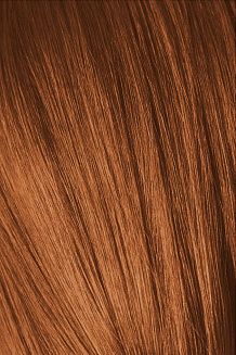Краска для волос Schwarzkopf Igora Absolutes 6-70 Темный русый медный натуральный 60 мл