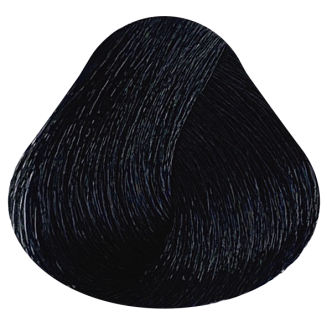 2/2 Иссиня-черный 100 мл