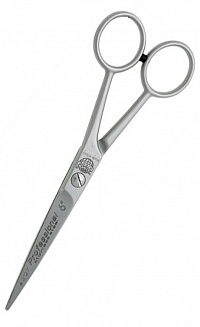 Ножницы Professional 6 прямые